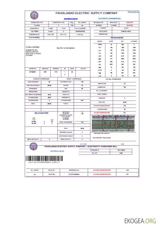 PAKISTAN FAISALABAD facture de services publics pour entreprises Modèle Word et PDF
